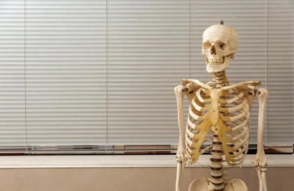 高校用真人骨骼教学40年后才发现 为其办葬礼
