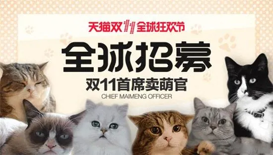 不是玩笑：天猫双11选一只猫担任“首席卖萌官”