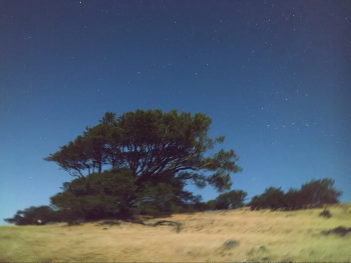 谷歌工程师用Pixel智能机挑战拍摄星空夜景