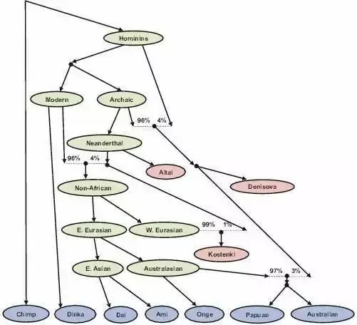 基因证明非洲外的人类都是同一批冒险者的后代