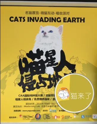 萌宠漫画账号“猫来了”亮相北京盛大名猫展会