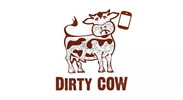 所有Android设备都受影响：Dirty COW漏洞可获root权限