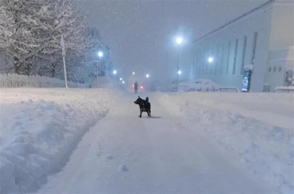 冰岛遇80年来最强降雪 24小时积雪51厘米