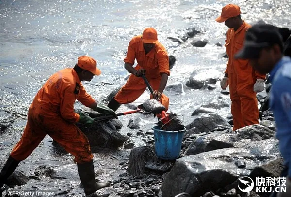 撞船漏油20吨 印度海龟遭遇惨剧：画面吓人
