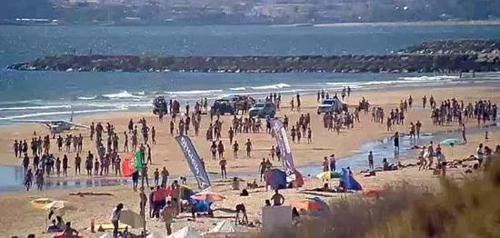 飞机迫降撞死两人 沙滩日光浴遭飞来横祸