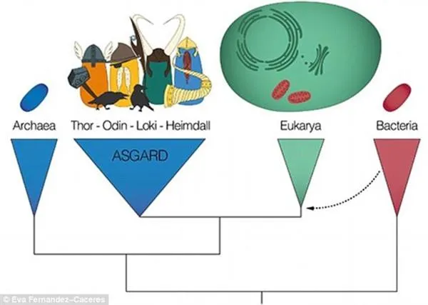 地球所有复杂生命共同祖先找到！神一样的微生物