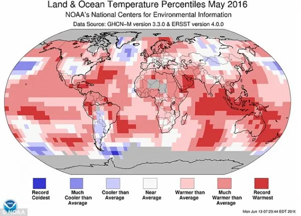 全球气温连续13个月创新高