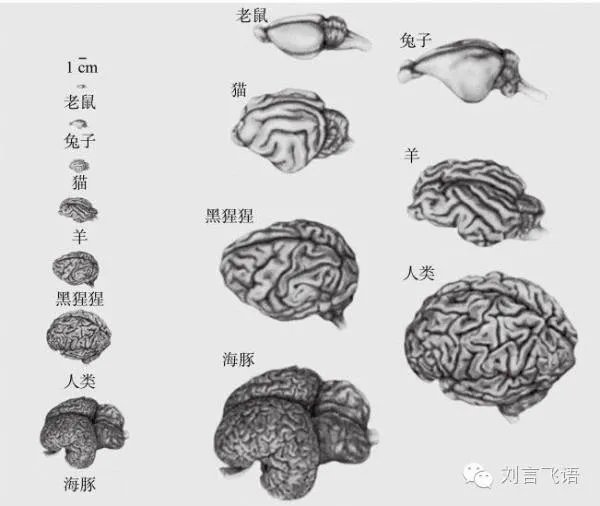 相比《西部世界》，《黑镜》更有可能是我们的未来