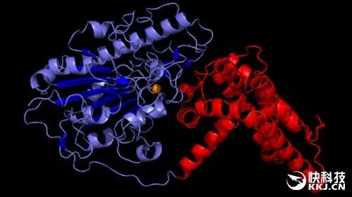 科学家发飙：抵抗所有抗生素的“超级细菌”被攻克