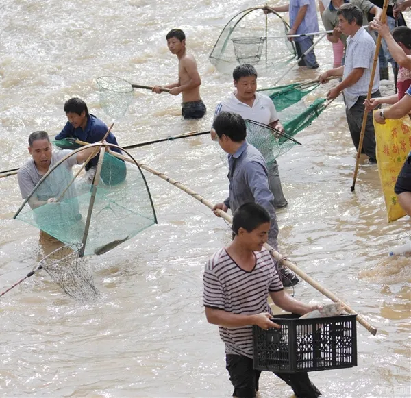 画面带感！暴雨后市民蜂拥下河抓鱼：挖掘机蚊帐上阵