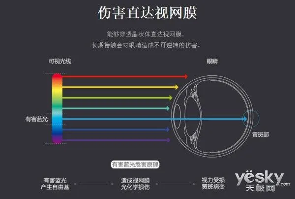 电子产品蓝光成视力破坏凶手：如何护眼？