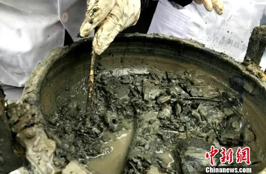 河南楚墓中发现“牛肉汤”？ 专家：实为地下渗水