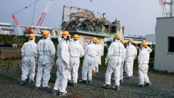 日本研究人员正在开发一种巨型蛇机器人来探索福岛荒原