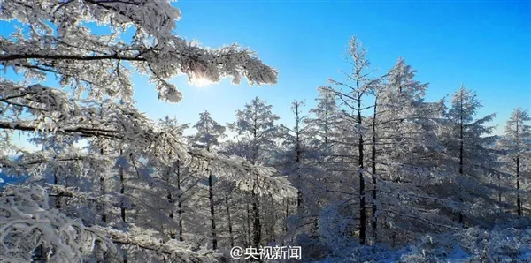 极寒、极景：零下40度的大兴安岭林海雪原