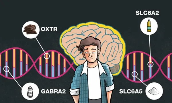 人类不吃肉会怎样？基因会控制大脑选择喜好食物...