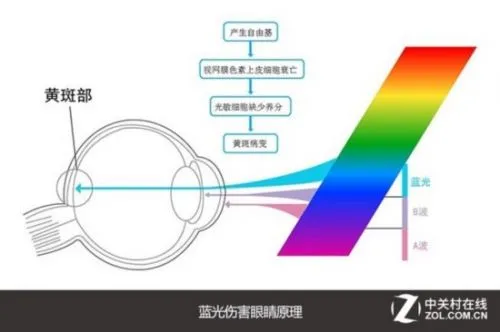 选购显示器的“十大”常见误区