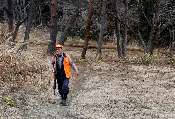 日本解封福岛核辐射重度污染区：野猪变异 画面吓人