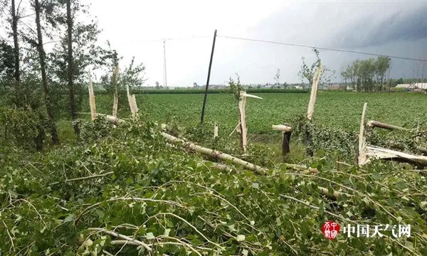 黑龙江惊现龙卷风 房屋瞬间被刮飞