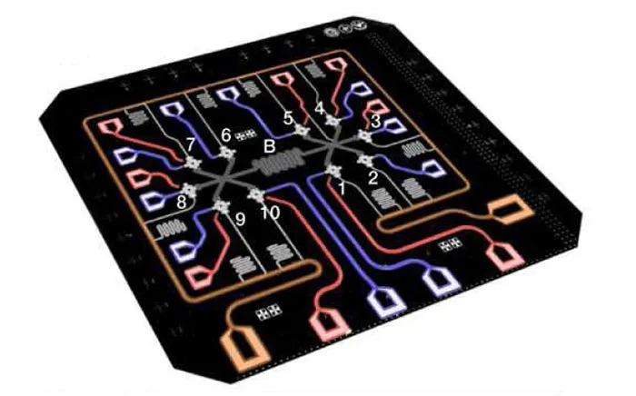 中国物理学家实现纠缠 10 个超导量子比特