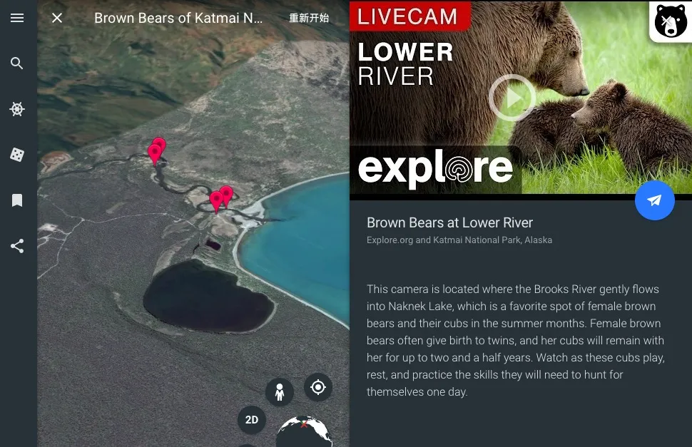 Google Earth也来做直播，但“主播”却是棕熊？