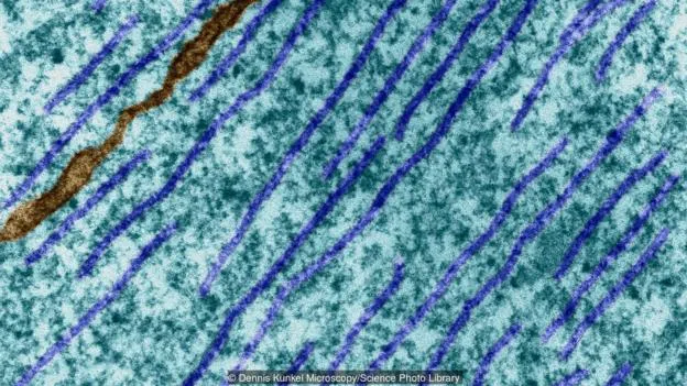 人类思维与量子力学间的奇妙联系：意识到底来自哪里？