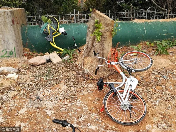深圳共享单车遭石头“活埋”