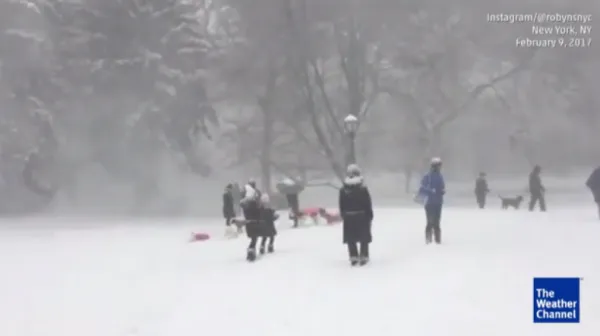 暴风雪“尼可”致使美国3000多个航班被迫取消