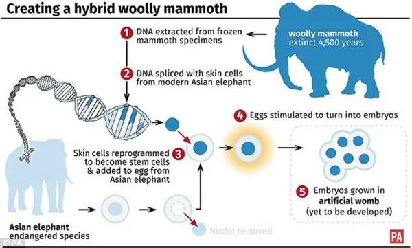 科学家警告：复活史前动物将导致生物大灭绝