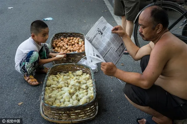 活久见：马路高温50度 商贩露天孵小鸡