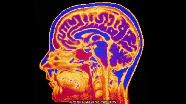 人类思维与量子力学间的奇妙联系：意识到底来自哪里？