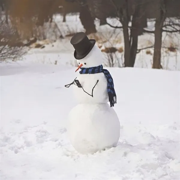 脑洞炸裂！看看老外是怎么堆雪人的