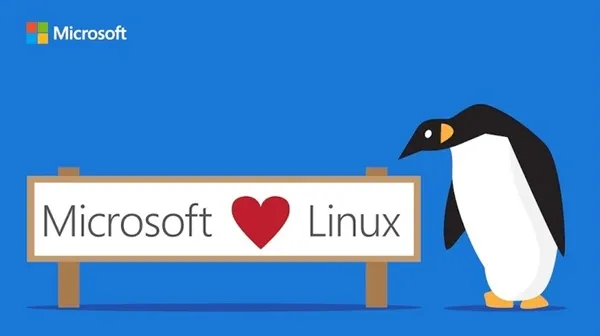 Linux子系统登陆Windows服务器