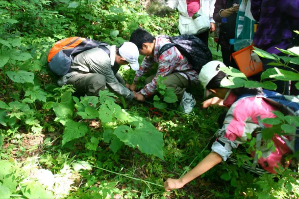 中科院发布首批全国研学旅游线：这个暑假就该这样走