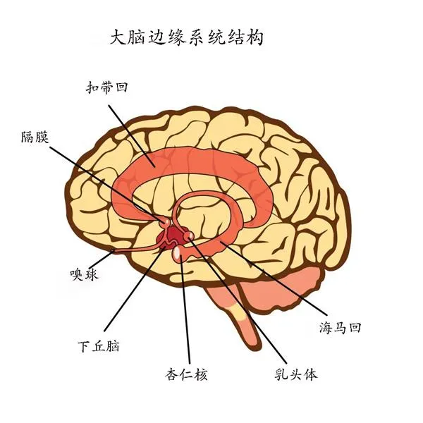 对着脑袋开一枪：这样就不会死