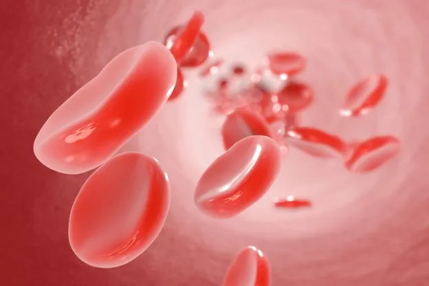 神奇的8天过程，科学家找到开启转变细胞制造红血球的钥匙