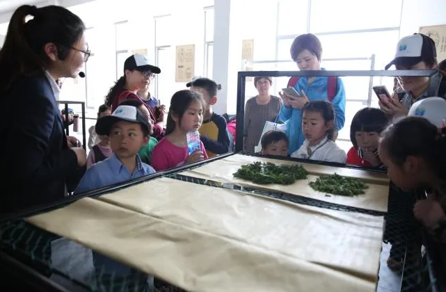 学经典享丝趣，同程旅游助力吴江打造丝绸国学研学品牌