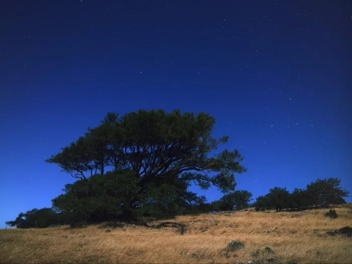 谷歌工程师用Pixel智能机挑战拍摄星空夜景