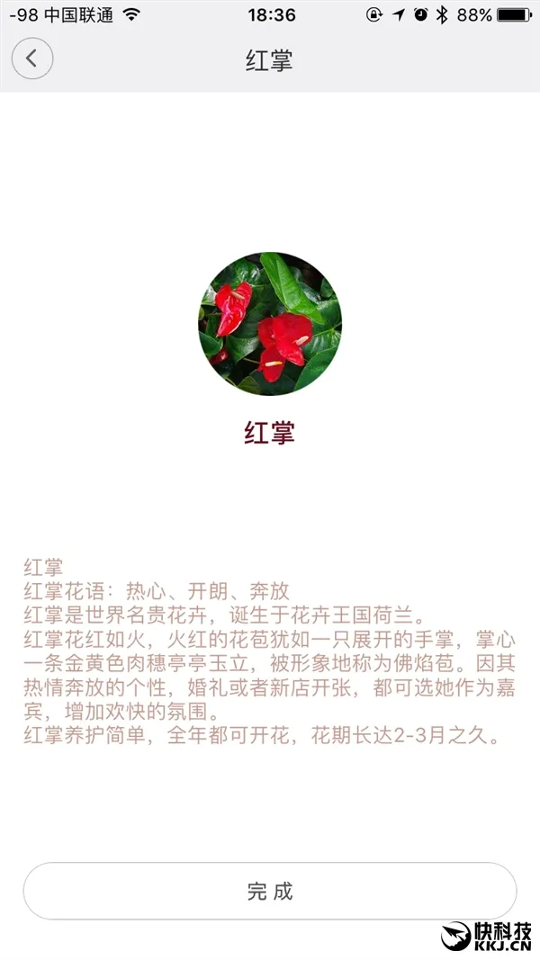 49元！小米“花花草草监测仪”开箱：种花必备