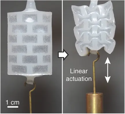 哈佛研究人员为软体机器人创造“肌肉”