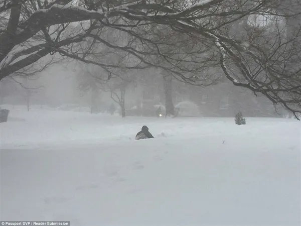 暴风雪袭击美国：积雪过腰 车被“埋”了