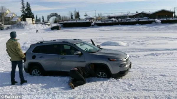 阿拉斯加九只雪橇犬齐力拉出被困越野车：画面有爱