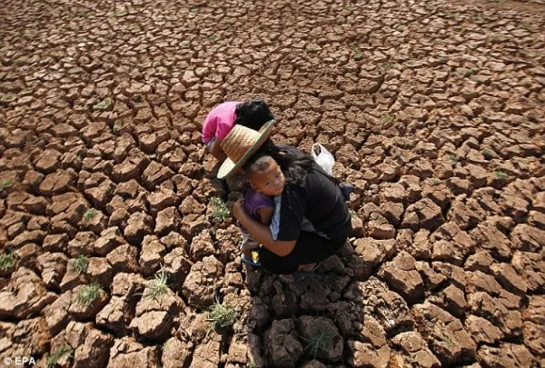 研究：气候变化或将助长民族间武装冲突