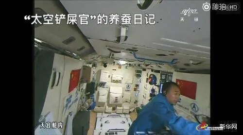 太空养蚕视频曝光：蚕宝宝顺着景海鹏的指尖玩游戏