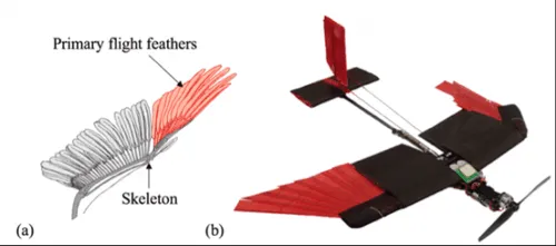 瑞士研究人员打造出一架具有“羽毛”的无人机