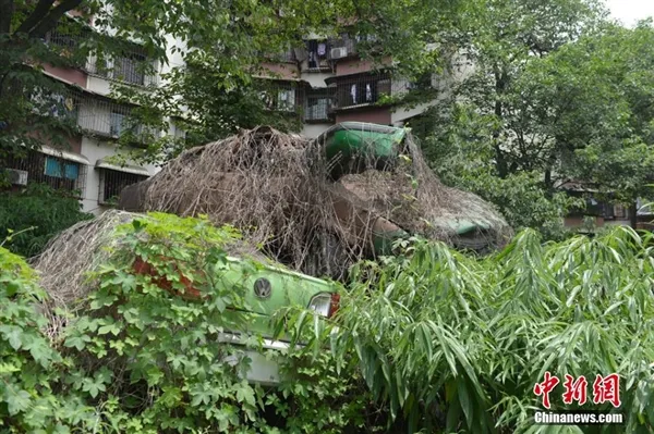 成都汽车坟场堆积如山：中国经典车型都在这