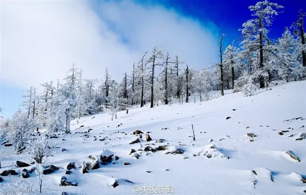 极寒、极景：零下40度的大兴安岭林海雪原