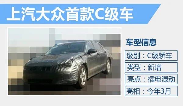 上汽大众新旗舰车来了：帕萨特他哥