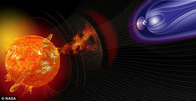 科学家称鲸鱼搁浅或与太阳风暴有关：未解之谜已困扰多年