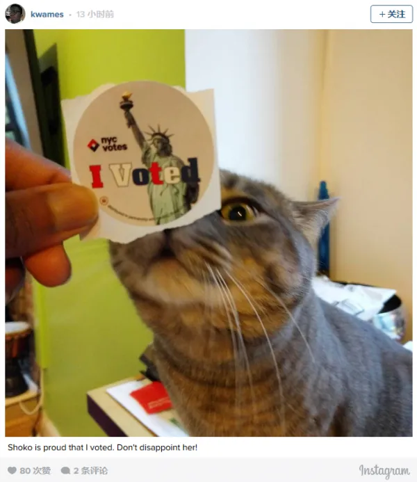 [图]美国选民让宠物代晒“投票照”