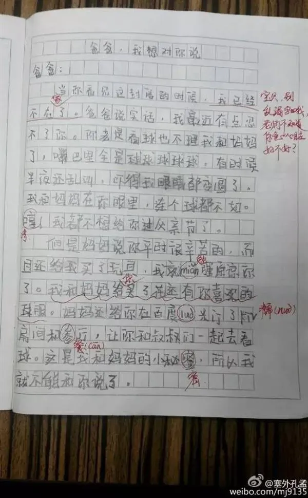 小学生写作文吐槽父亲看欧洲杯 看后被萌化